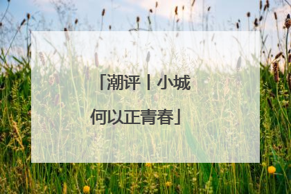 潮评丨小城何以正青春