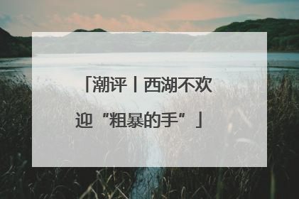 潮评丨西湖不欢迎“粗暴的手”