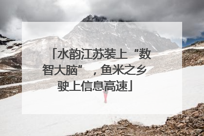水韵江苏装上“数智大脑”，鱼米之乡驶上信息高速