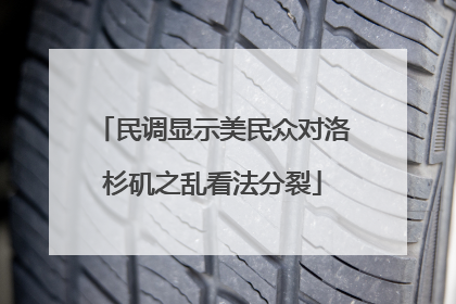 民调显示美民众对洛杉矶之乱看法分裂