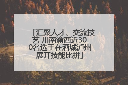 汇聚人才、交流技艺 川南渝西近300名选手在酒城泸州展开技能比拼