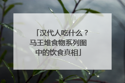 汉代人吃什么？马王堆食物系列图中的饮食真相