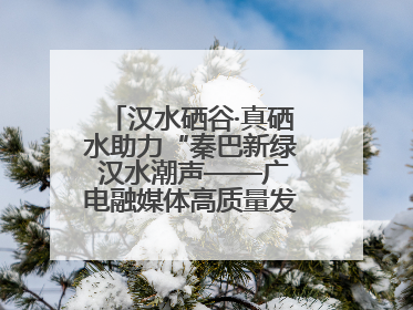 汉水硒谷·真硒水助力“秦巴新绿 汉水潮声——广电融媒体高质量发展陕西采访行”