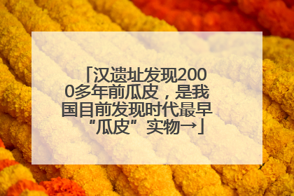 汉遗址发现2000多年前瓜皮，是我国目前发现时代最早“瓜皮”实物→