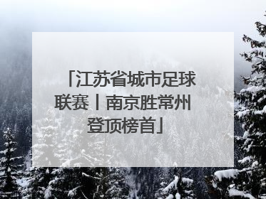 江苏省城市足球联赛丨南京胜常州 登顶榜首