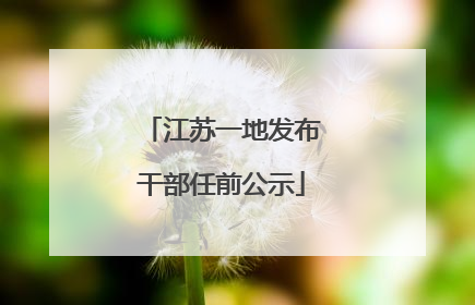 江苏一地发布干部任前公示