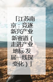 江苏南京：竞逐新兴产业新赛道（走进产业地标·发展一线探变化）