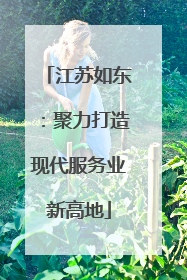 江苏如东：聚力打造现代服务业新高地