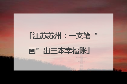 江苏苏州：一支笔“画”出三本幸福账