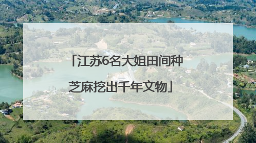 江苏6名大姐田间种芝麻挖出千年文物