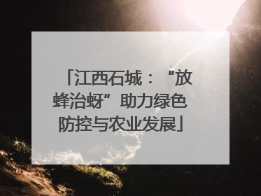 江西石城：“放蜂治蚜”助力绿色防控与农业发展