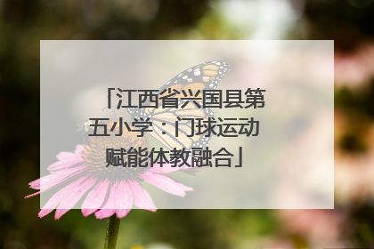 江西省兴国县第五小学：门球运动赋能体教融合