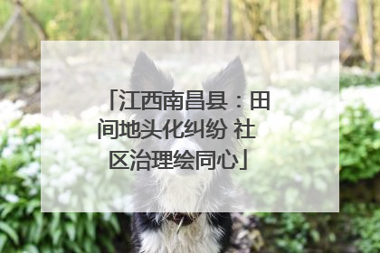 江西南昌县：田间地头化纠纷 社区治理绘同心