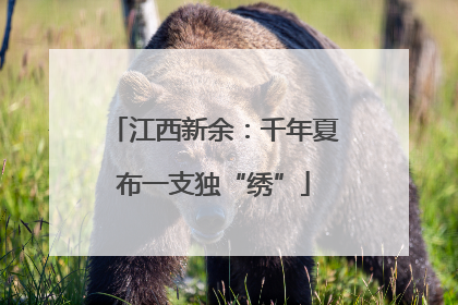 江西新余：千年夏布一支独“绣”