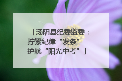汤阴县纪委监委：拧紧纪律“发条” 护航“阳光中考”