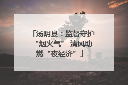 汤阴县：监督守护“烟火气” 清风助燃“夜经济”