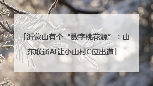 沂蒙山有个“数字桃花源”：山东联通AI让小山村C位出道