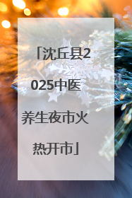 沈丘县2025中医养生夜市火热开市
