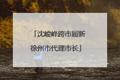 沈峻峰跨市履新徐州市代理市长
