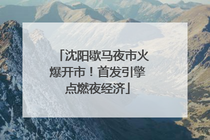 沈阳歇马夜市火爆开市！首发引擎点燃夜经济
