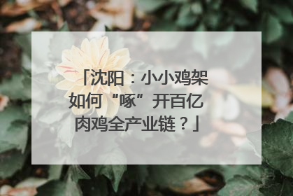 沈阳：小小鸡架如何“啄”开百亿肉鸡全产业链？