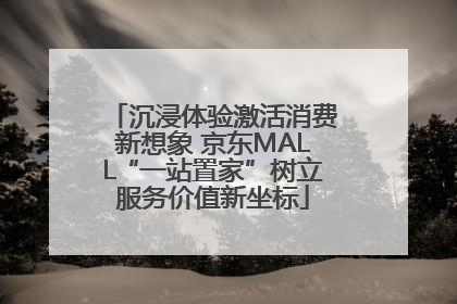 沉浸体验激活消费新想象 京东MALL“一站置家”树立服务价值新坐标