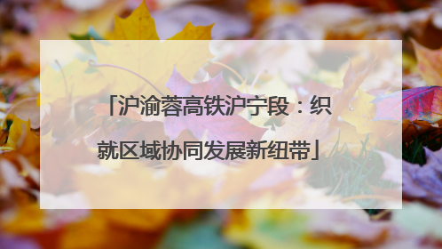 沪渝蓉高铁沪宁段：织就区域协同发展新纽带