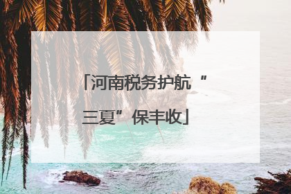 河南税务护航“三夏”保丰收