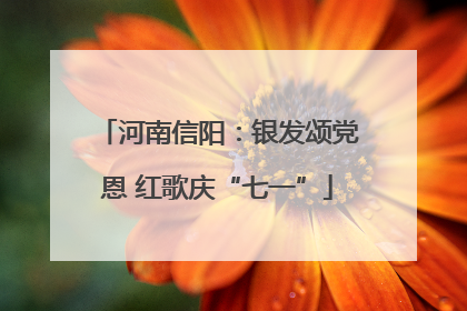 河南信阳：银发颂党恩 红歌庆“七一”