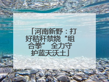 河南新野：打好秸秆禁烧“组合拳” 全力守护蓝天沃土