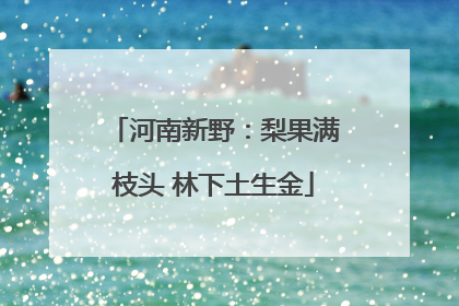 河南新野：梨果满枝头 林下土生金