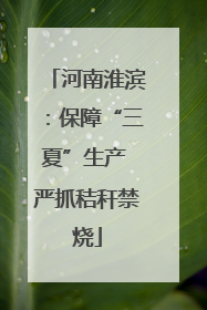 河南淮滨：保障“三夏”生产 严抓秸秆禁烧