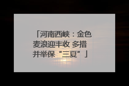 河南西峡：金色麦浪迎丰收 多措并举保“三夏”