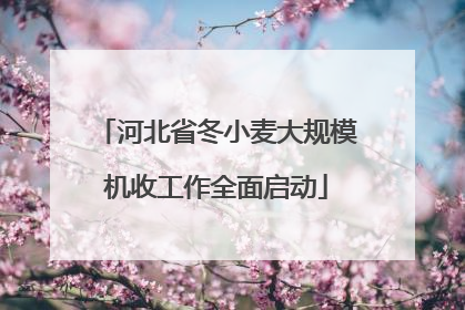河北省冬小麦大规模机收工作全面启动