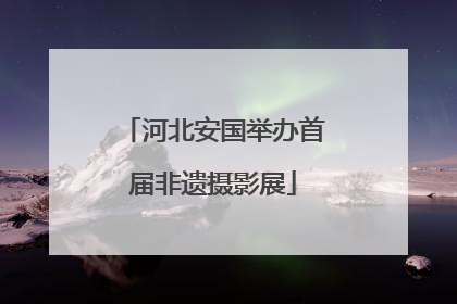 河北安国举办首届非遗摄影展