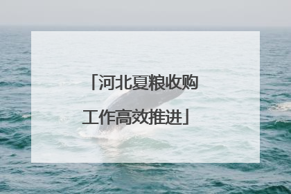 河北夏粮收购工作高效推进