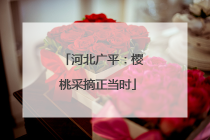 河北广平：樱桃采摘正当时