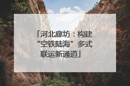 河北廊坊：构建“空铁陆海”多式联运新通道