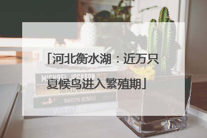 河北衡水湖：近万只夏候鸟进入繁殖期