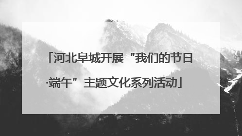 河北阜城开展“我们的节日·端午”主题文化系列活动