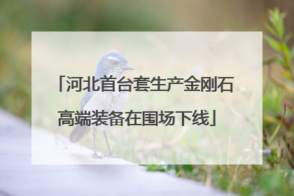 河北首台套生产金刚石高端装备在围场下线