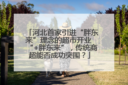 河北首家引进“胖东来”理念的超市开业 “+胖东来”，传统商超能否成功突围？