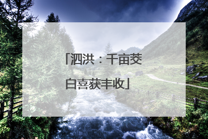 泗洪：千亩茭白喜获丰收