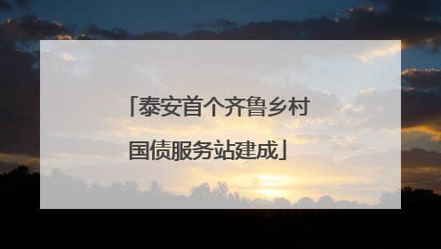 泰安首个齐鲁乡村国债服务站建成