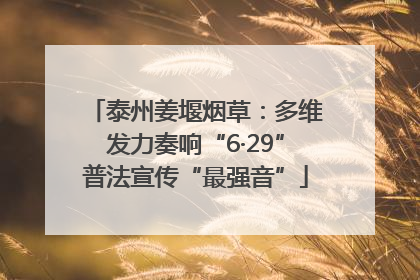 泰州姜堰烟草：多维发力奏响“6·29”普法宣传“最强音”