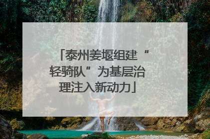 泰州姜堰组建“轻骑队”为基层治理注入新动力
