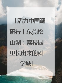 活力中国调研行丨东莞松山湖：荔枝园里长出来的科学城