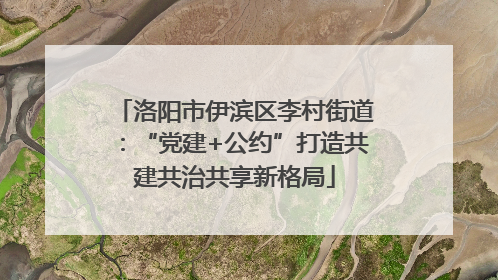 洛阳市伊滨区李村街道：“党建+公约”打造共建共治共享新格局