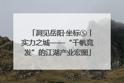 洞见岳阳·坐标⑤丨实力之城——“千帆竞发”的江湖产业宏图