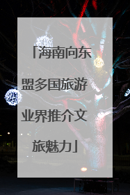 海南向东盟多国旅游业界推介文旅魅力